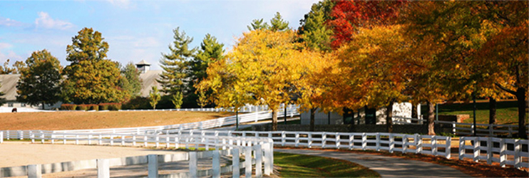 Georgetown, KY trees and fence